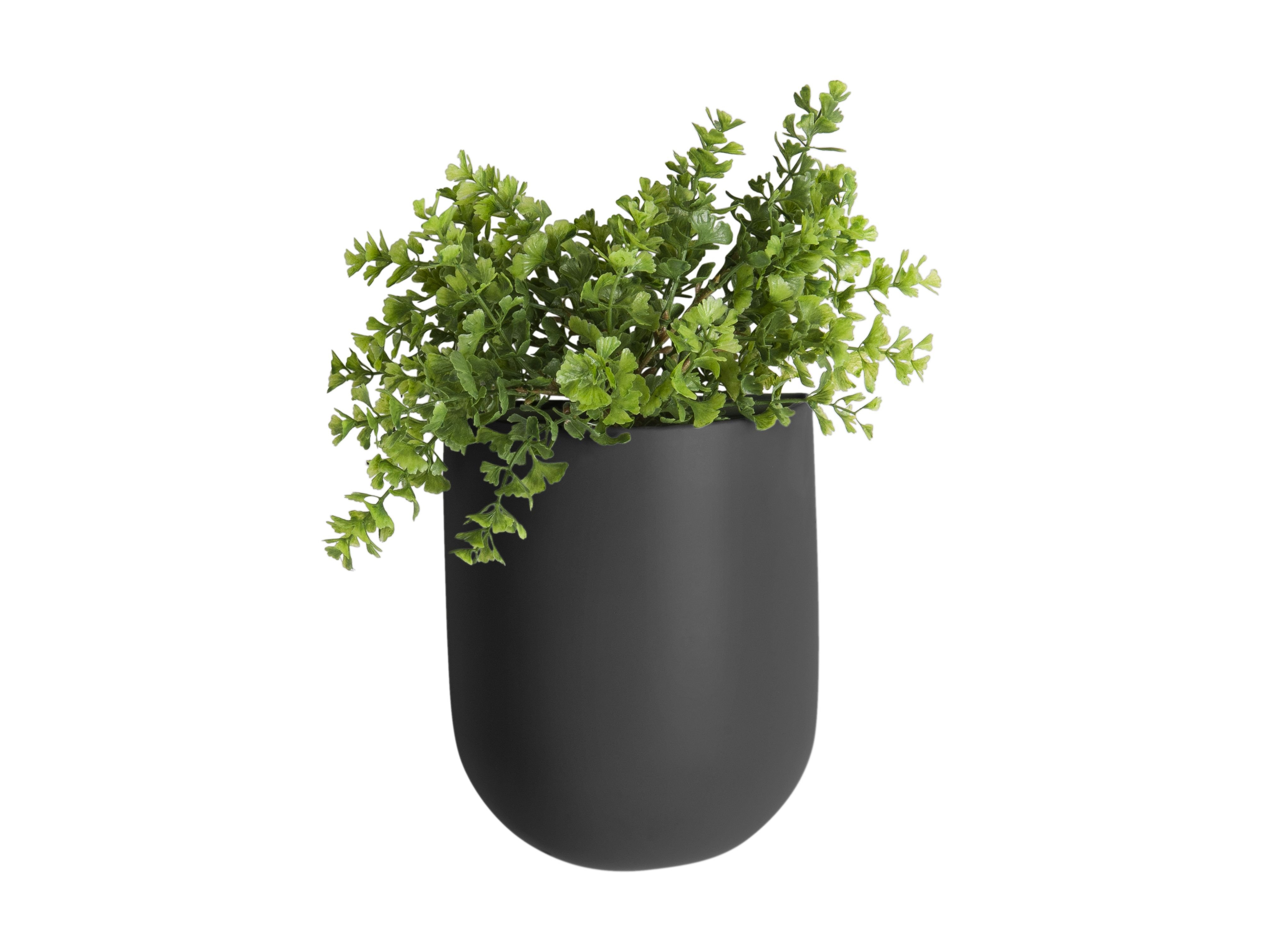 Wall Plant Pot Oval