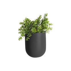 Wall Plant Pot Oval